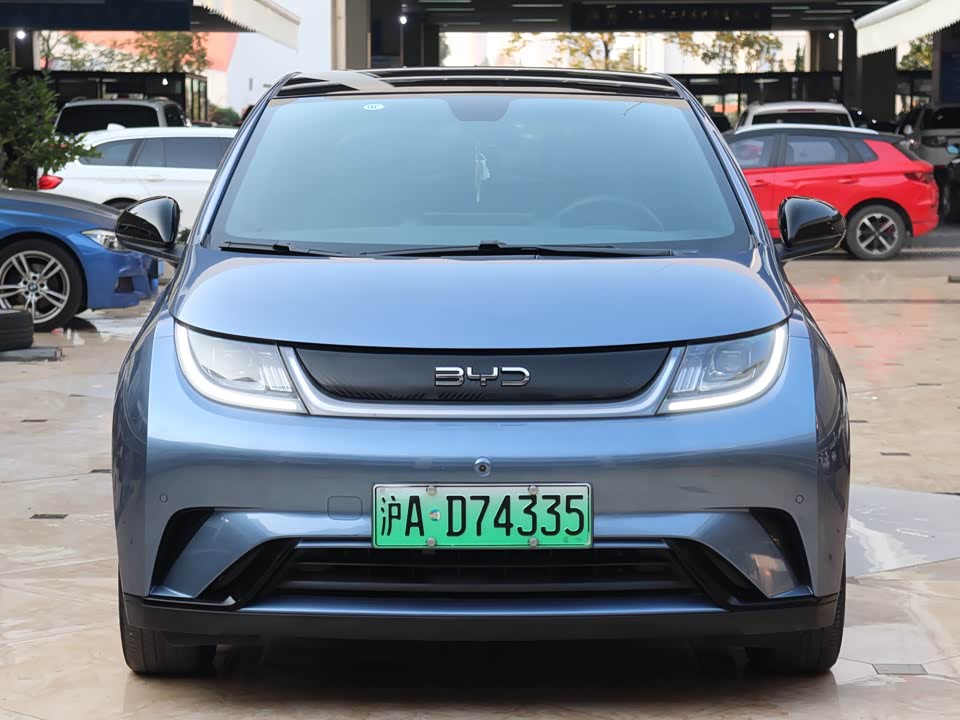 BYD dolphin