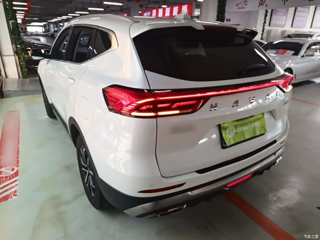 Haval H6, 2023 все фото