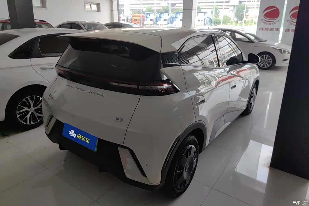 BYD Seagull, 2024 3