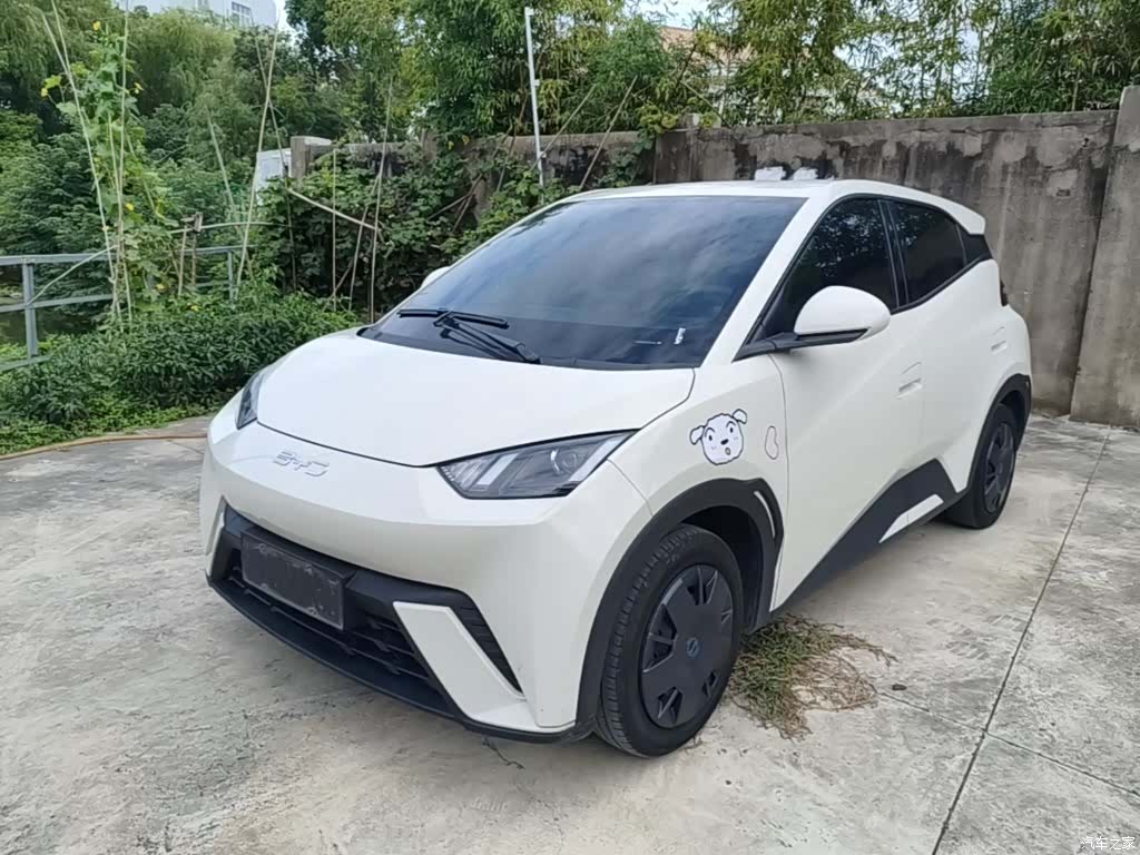 BYD Seagull, 2024 2