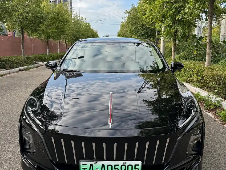 Hongqi E-QM5