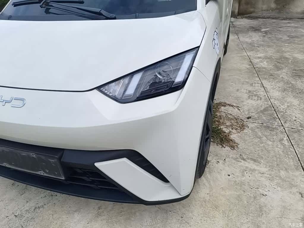 BYD Seagull, 2024 24