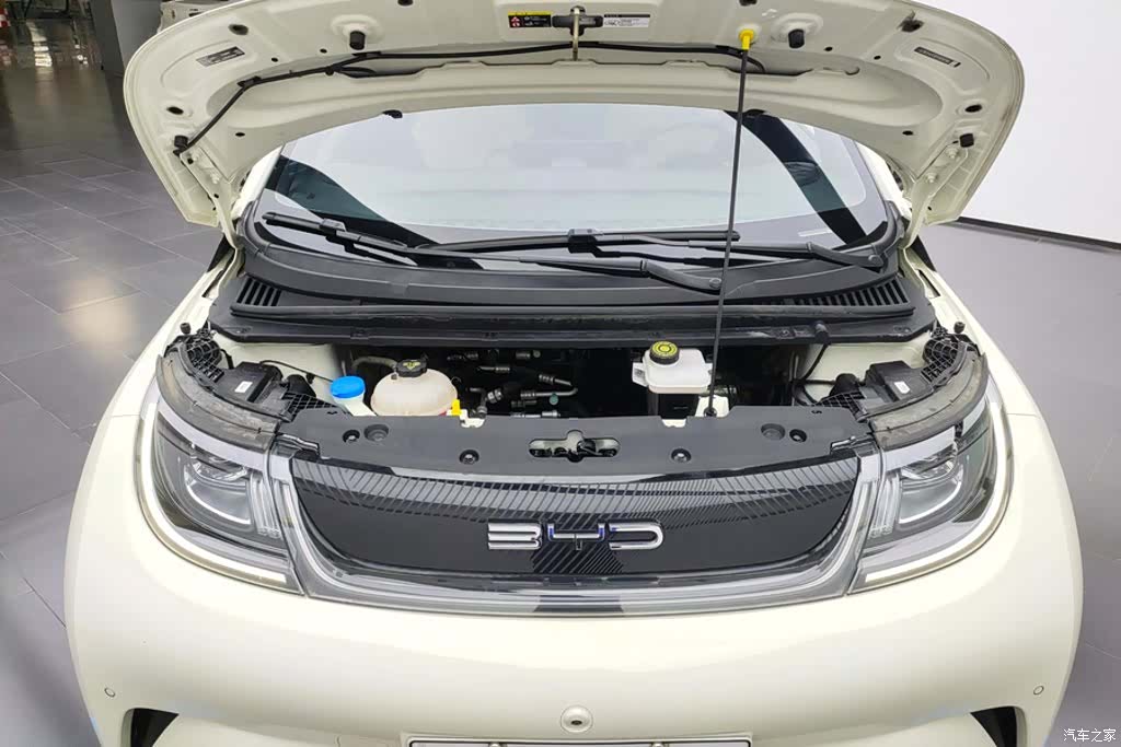 BYD Dolphin, 2023 10