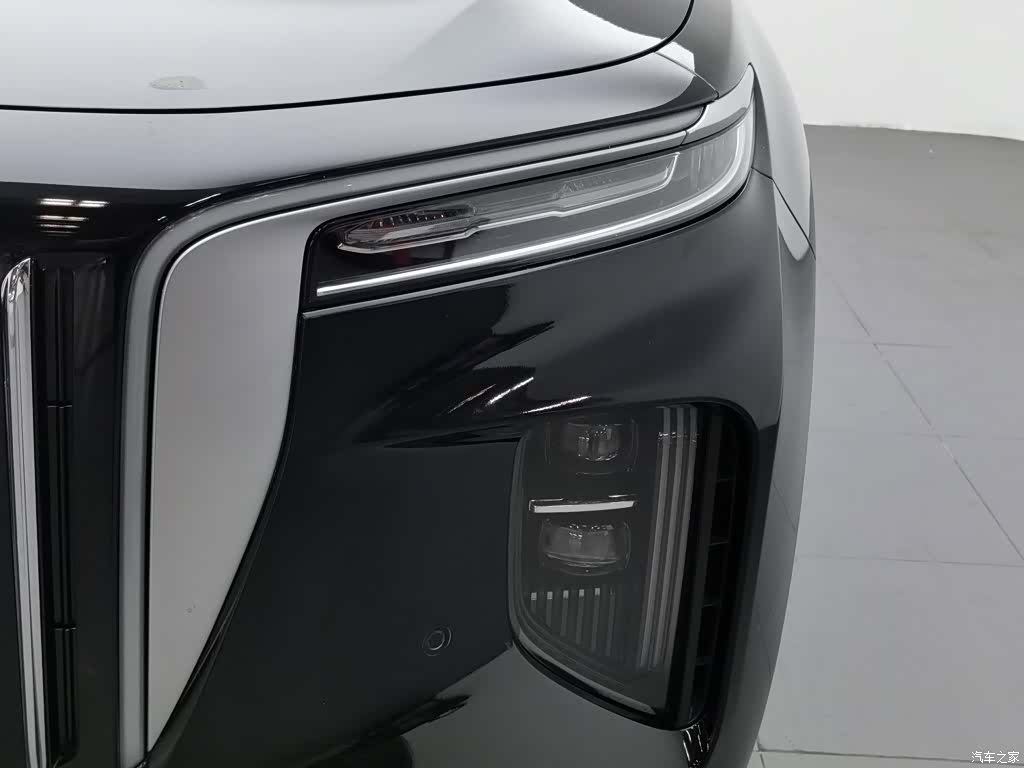 Hongqi E-HS9, 2022 7