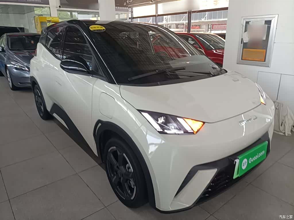 BYD Seagull, 2023 4