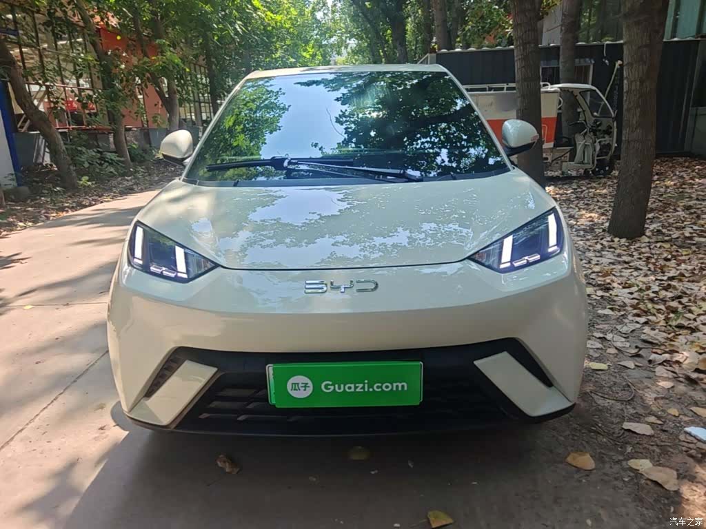 BYD Seagull, 2024 3