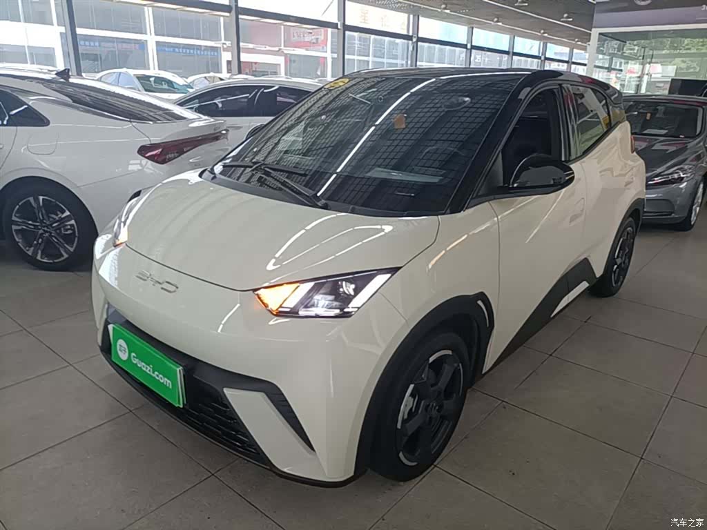 BYD Seagull, 2023 1