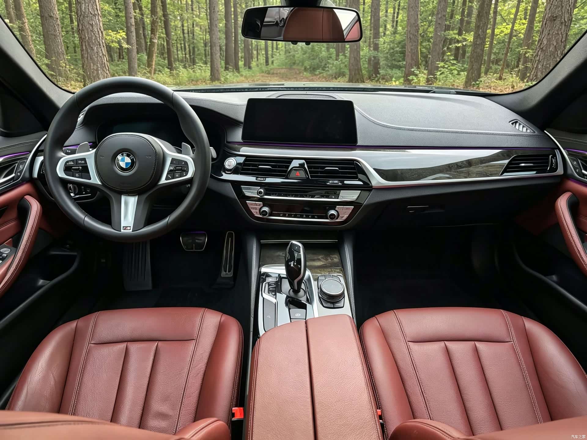 BMW 5 Series, 2020 13