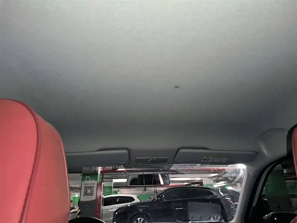 Skoda Jingrui Skoda Jingrui
