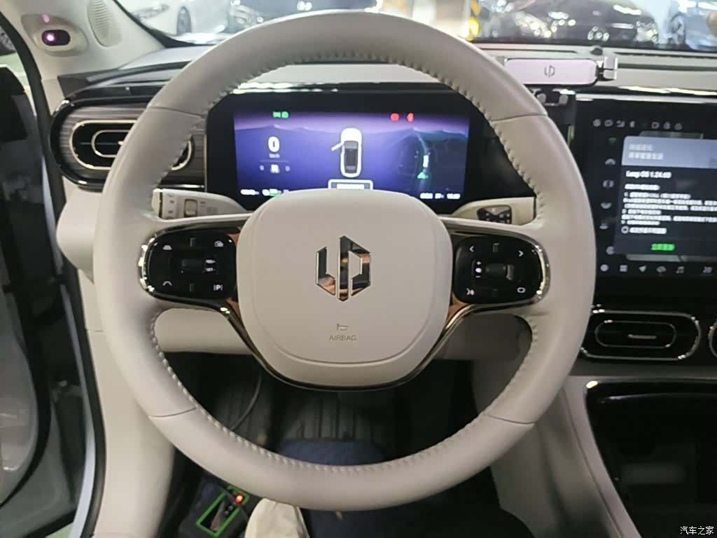 Leapmotor C11, 2023 11