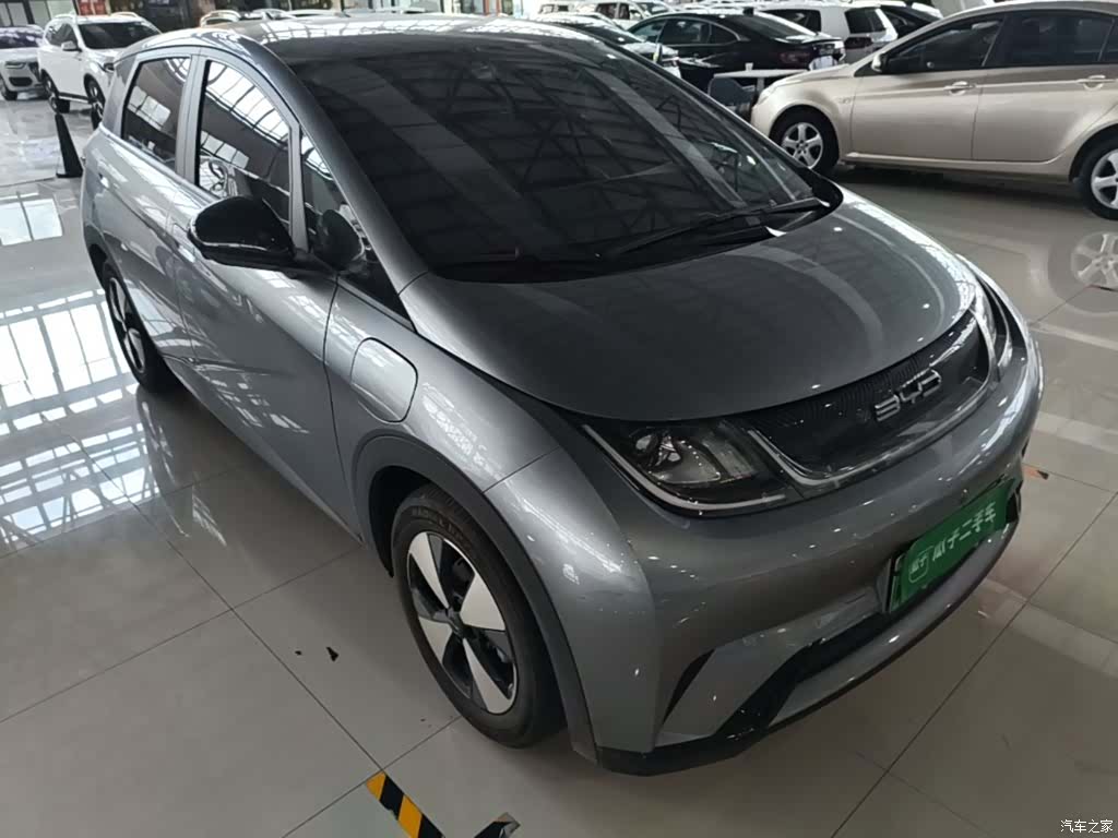 BYD Dolphin, 2023 4