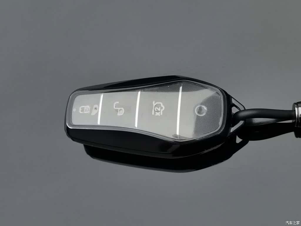 BYD Tang, 2025 19