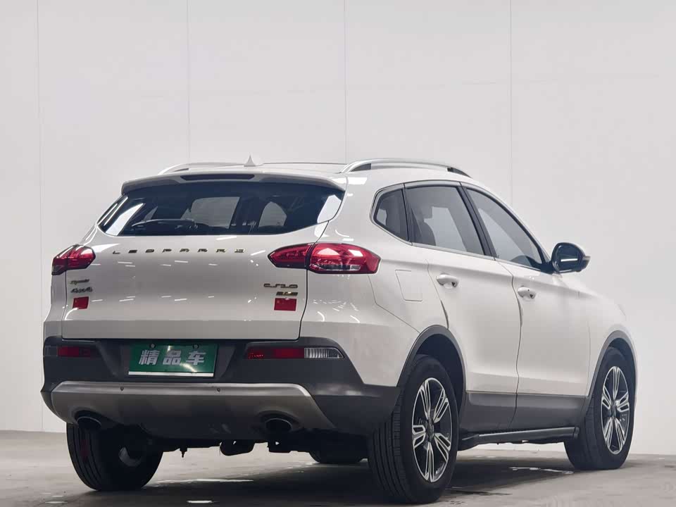 Leopaard Cheetah CS10