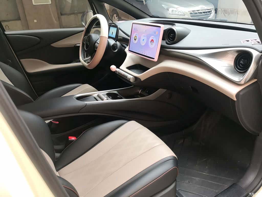 BYD Dolphin, 2025 7