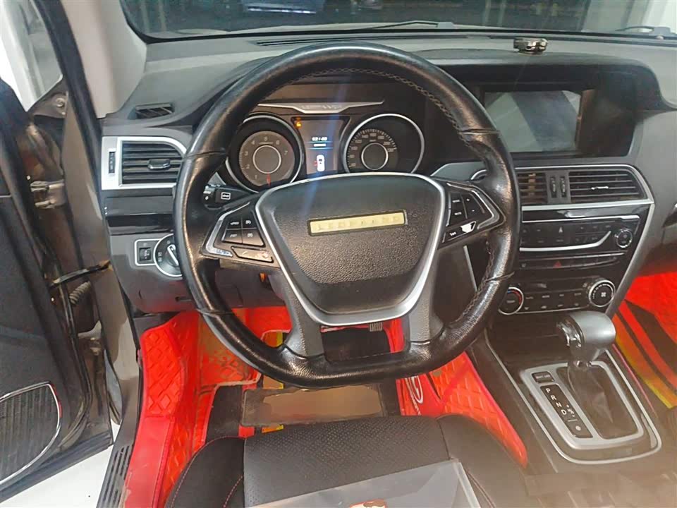 Leopaard Cheetah CS10