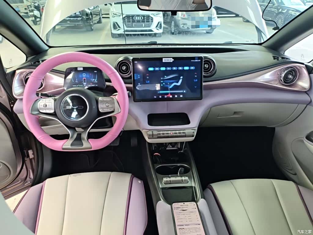 BYD Dolphin, 2022 10