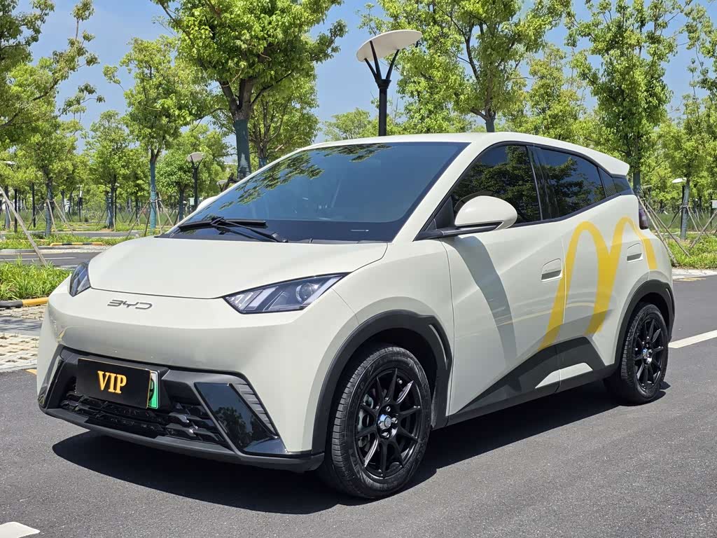 BYD Seagull