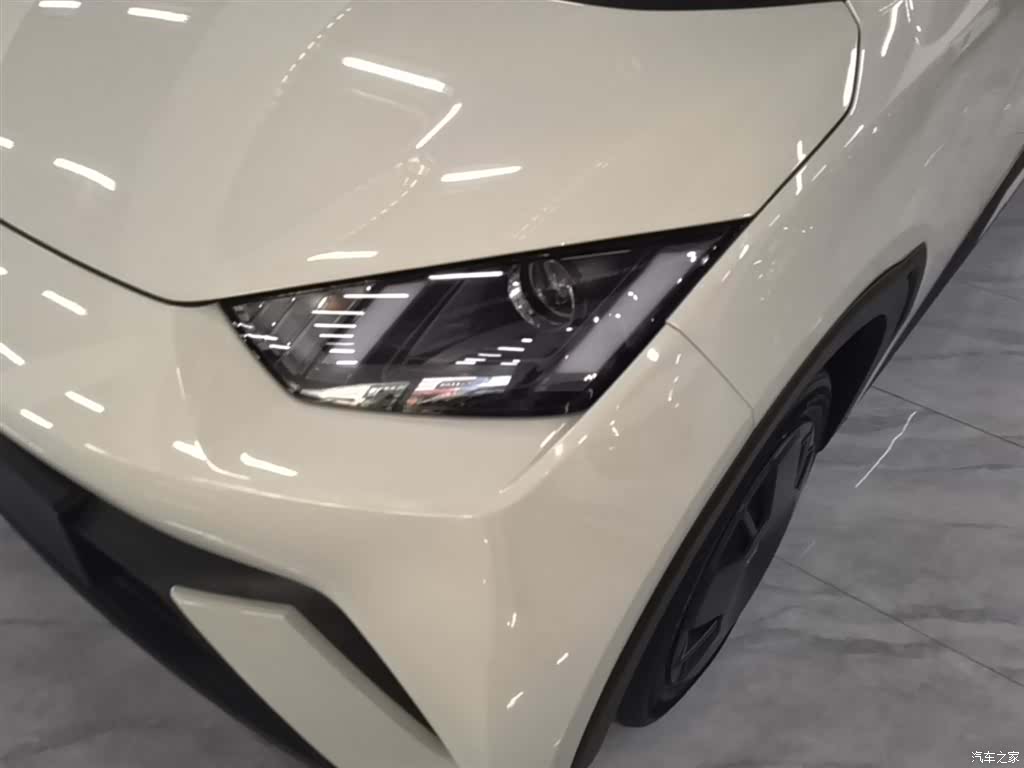 BYD Seagull, 2024 24