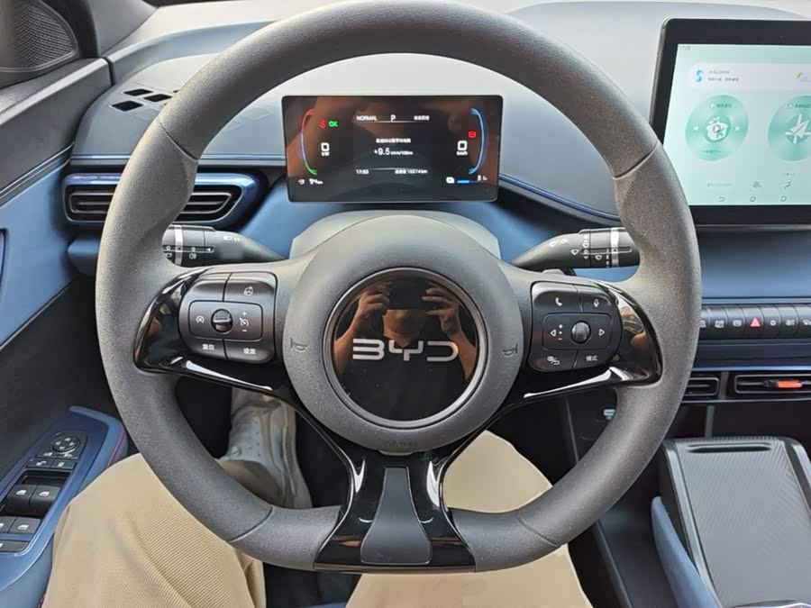 BYD Seagull 2024, фото 11