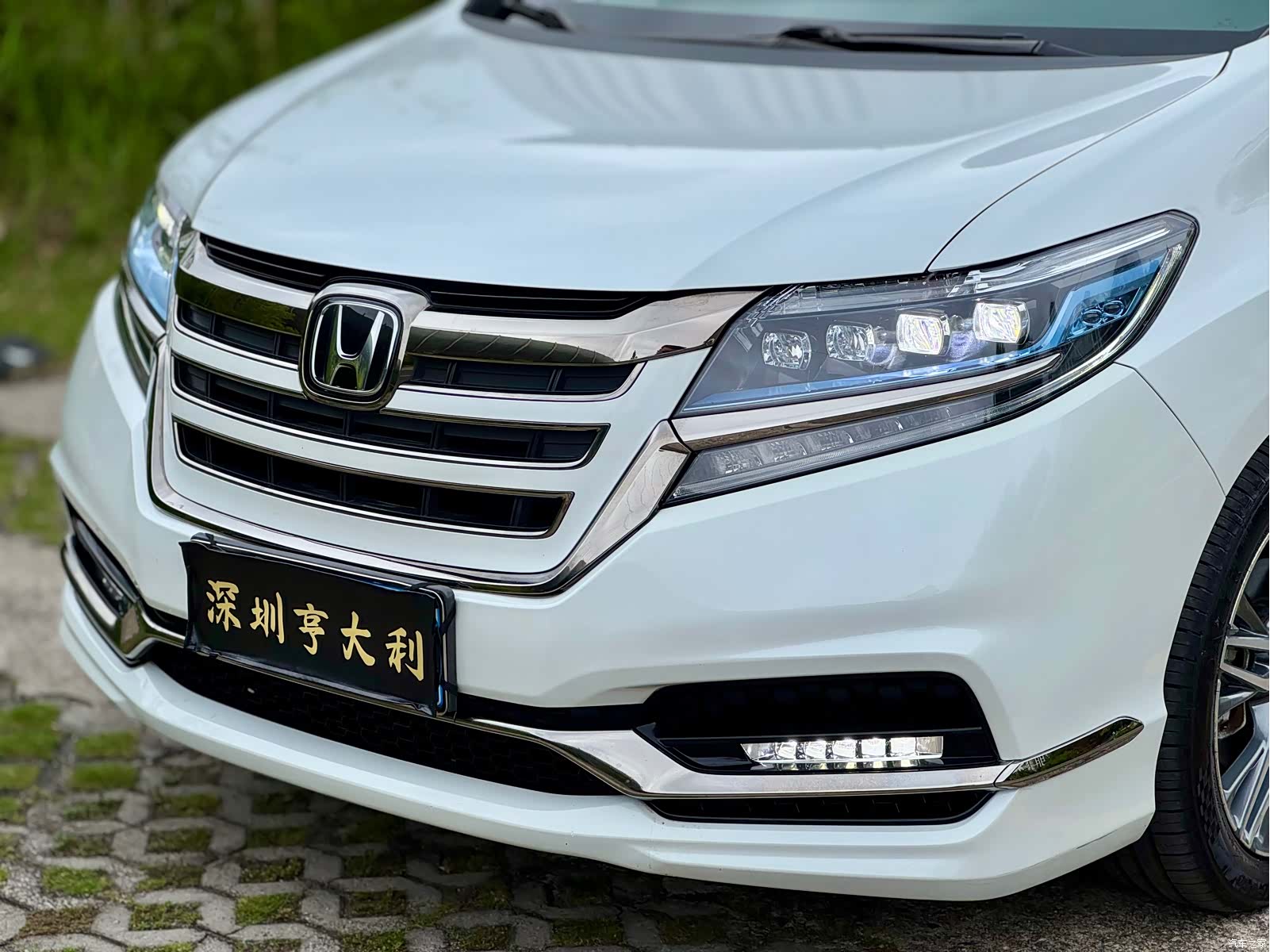 Honda Elysion, 2021 все фото