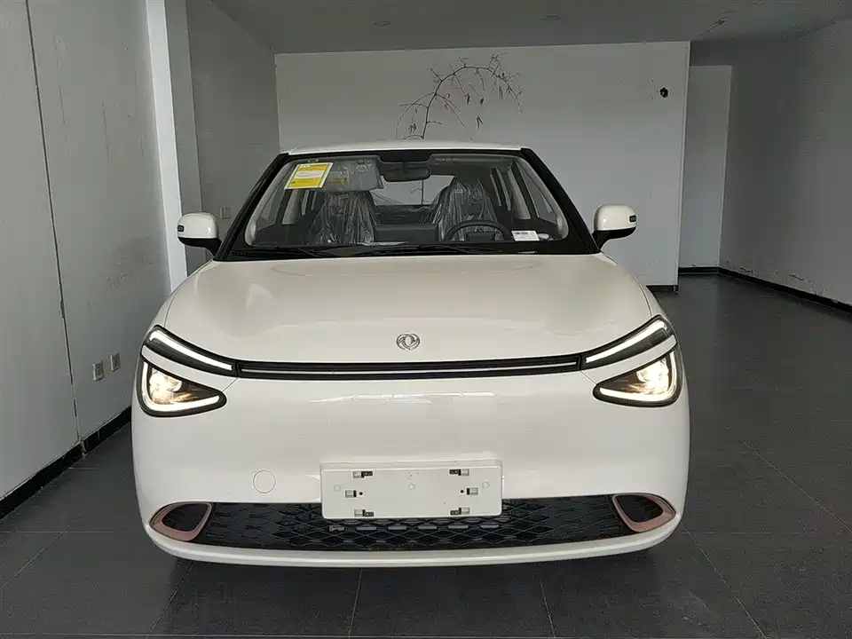 Dongfeng Nammi Nano 01