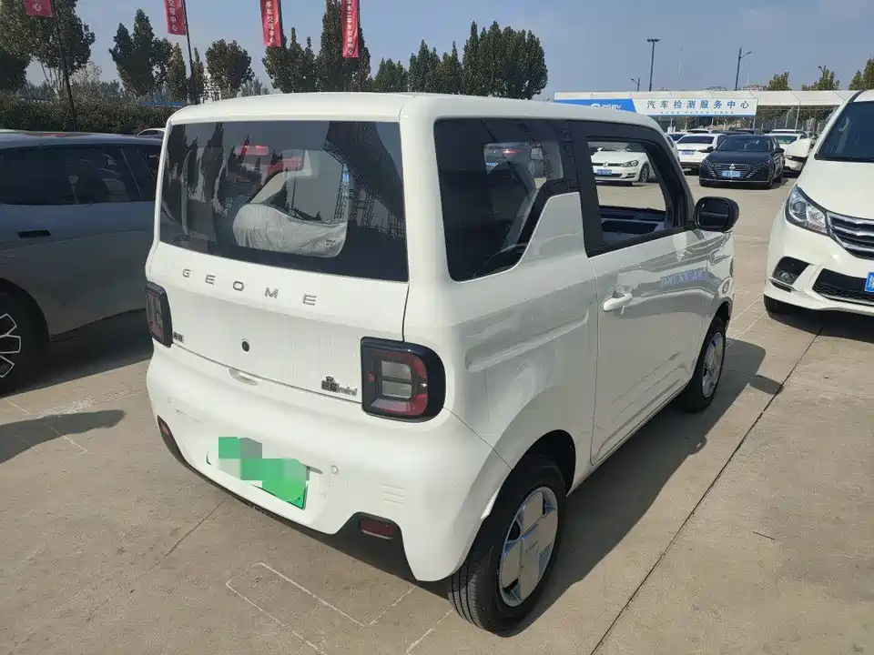Geely Galaxy panda