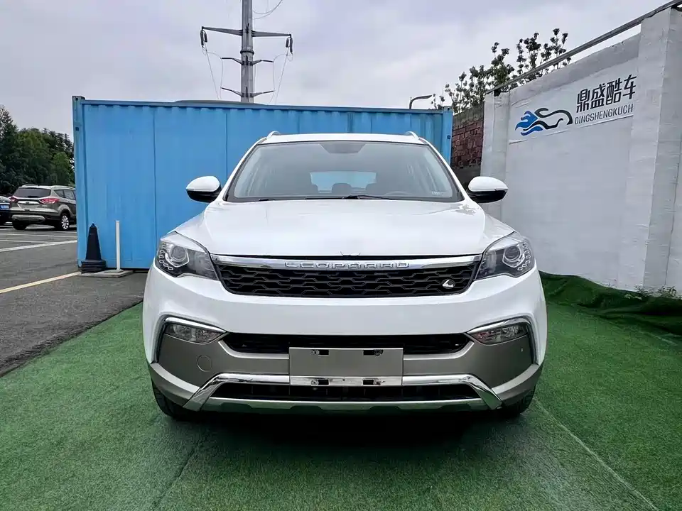 Leopaard Cheetah CS10