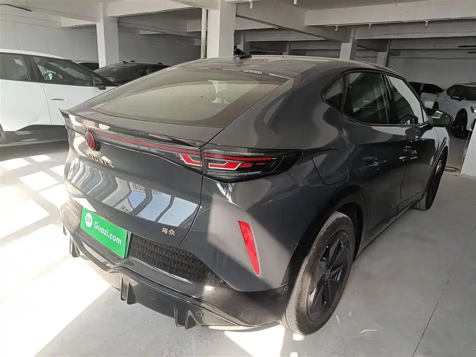 Volkswagen With the crowd 06