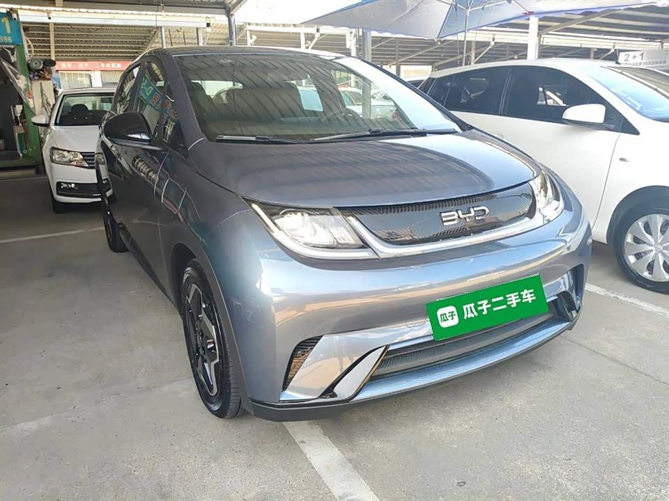 BYD dolphin
