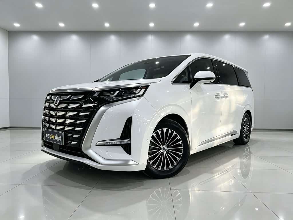 Denza D9