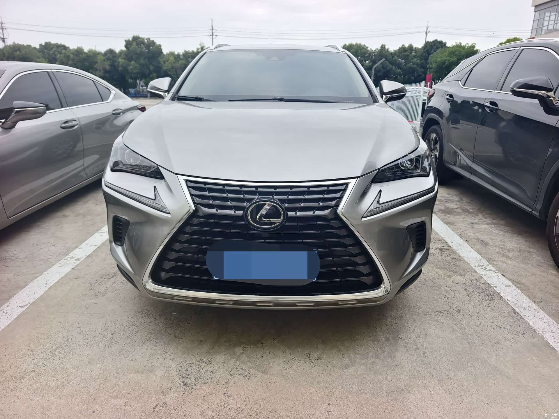 Lexus NX, 2021 2