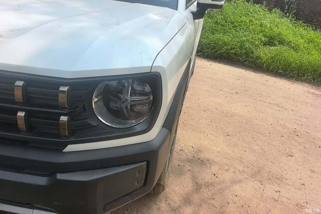Haval Cool Dog, 2023 все фото