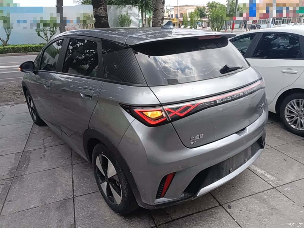 BYD Dolphin, 2024 все фото