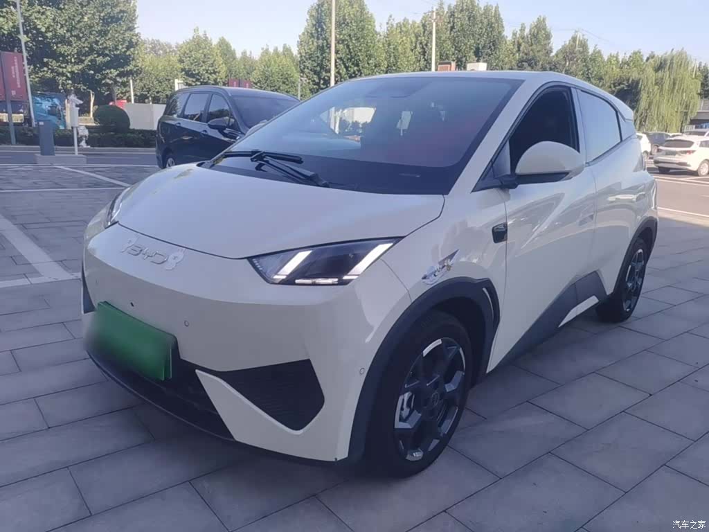 BYD Seagull, 2025 1