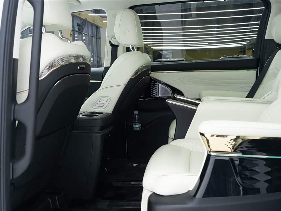 Trumpchi Trumpchi E9