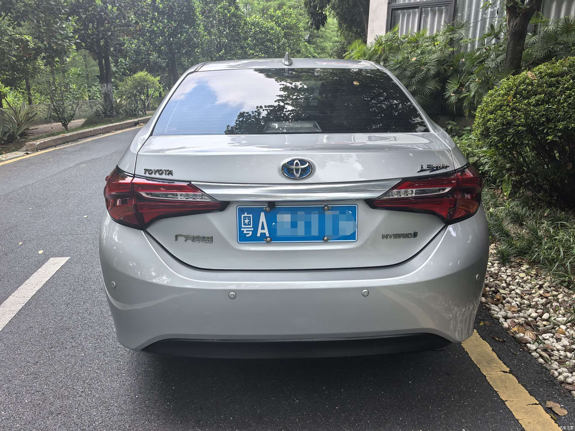 Toyota Levin, 2016 все фото