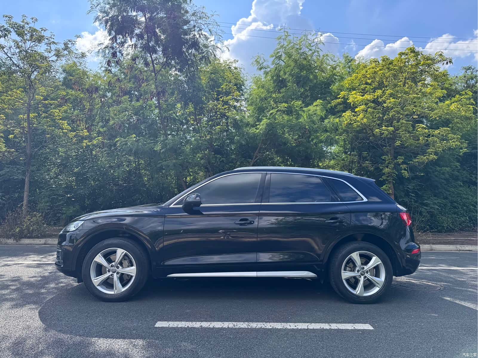 Audi Q5L, 2019 все фото