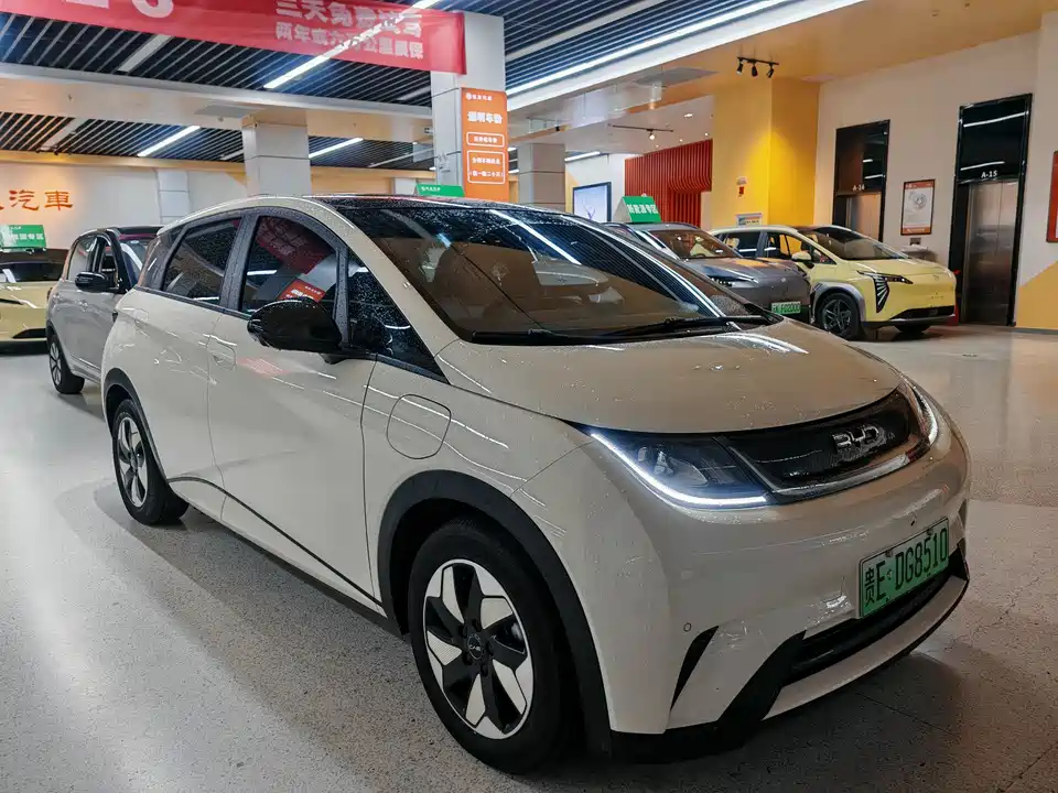 BYD dolphin
