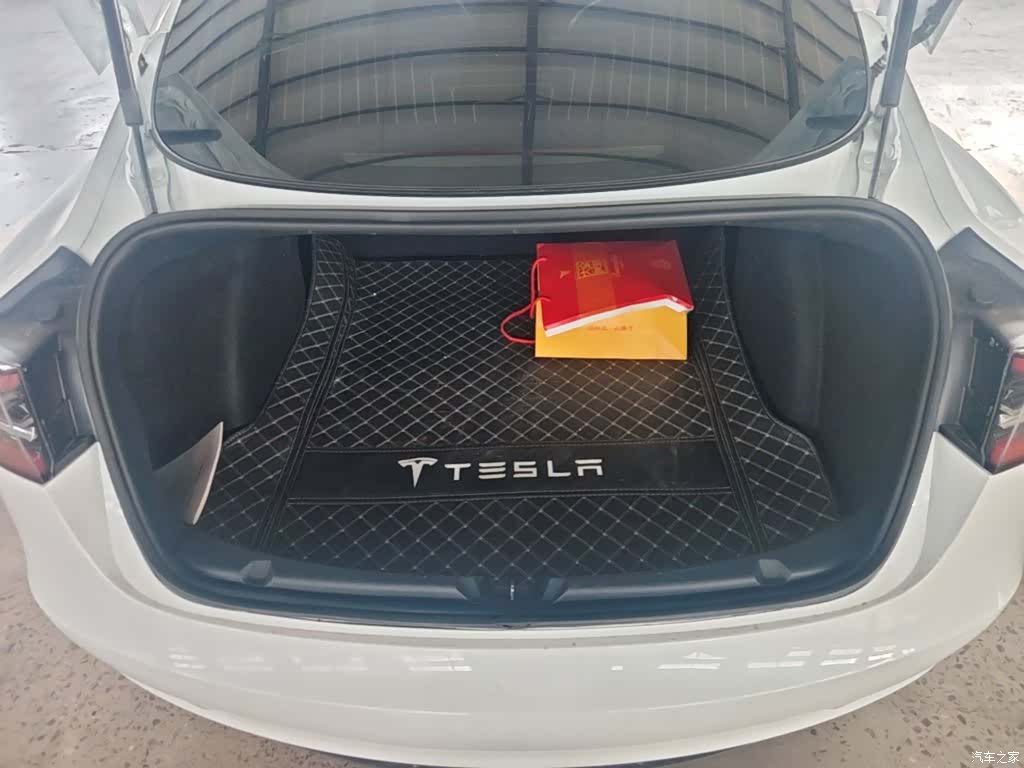 Tesla Model 3, 2020 19