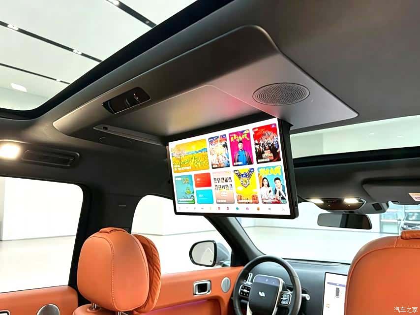 Li Auto L9, 2022 4