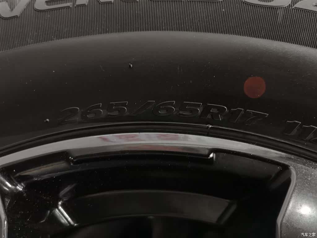 Tank 300, 2024 24
