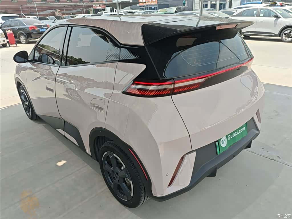BYD Seagull, 2024 все фото