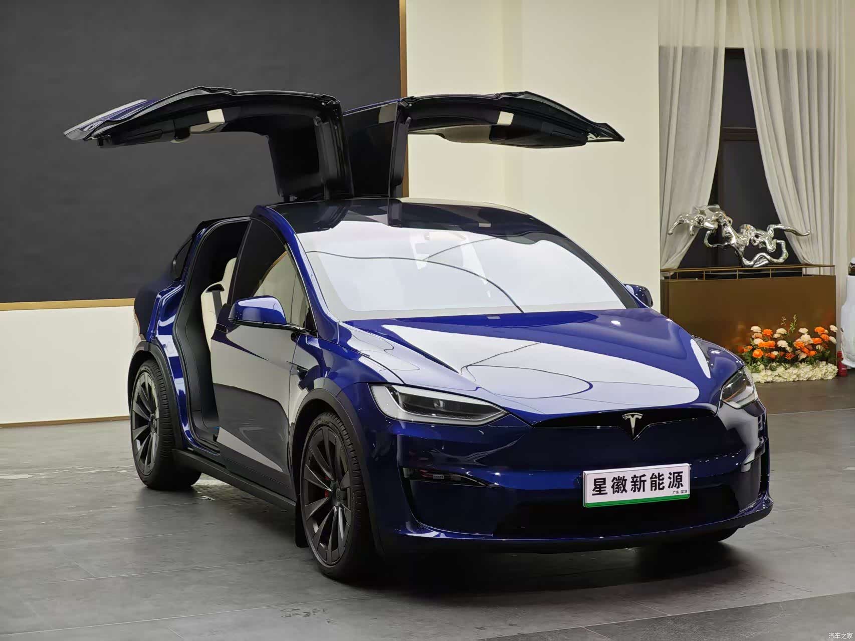 Tesla Model X, 2023 3