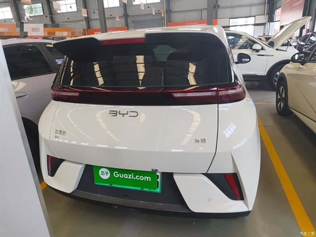 BYD Seagull, 2026 6