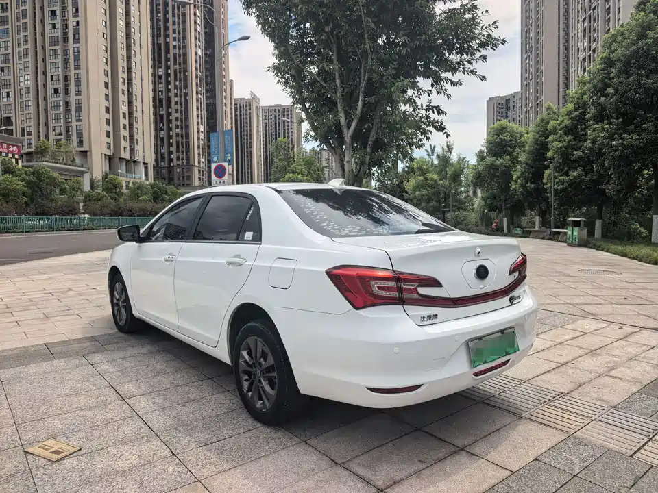 BYD Qinxin Energy BYD Qinxin Energy