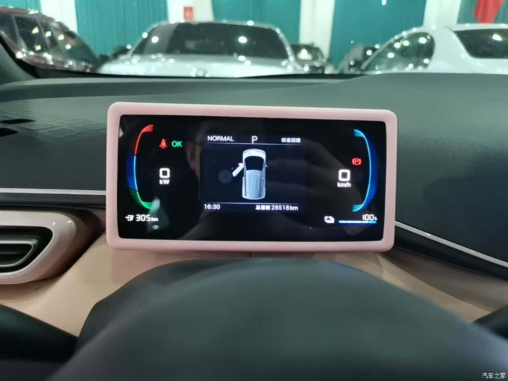 BYD Seagull, 2024 12
