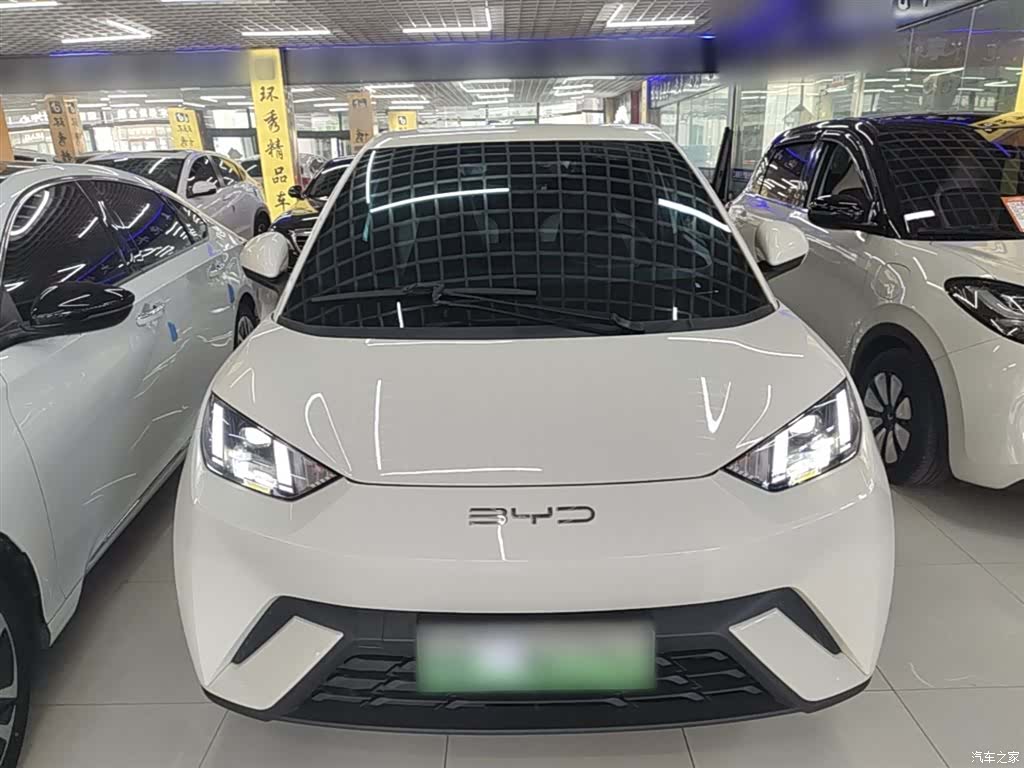 BYD Seagull, 2023 3