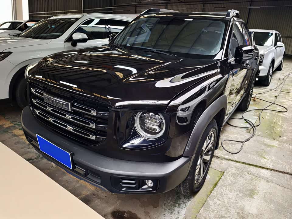 Haval Big dog