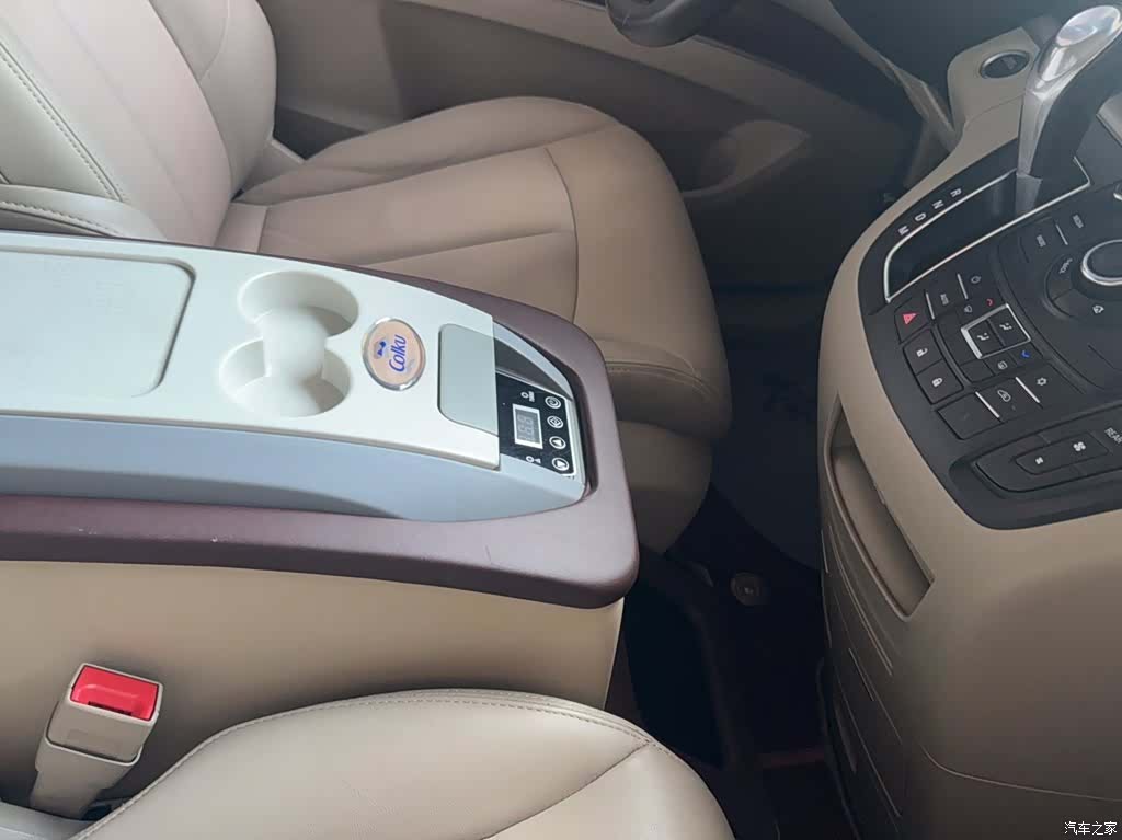 Buick GL8, 2020 19