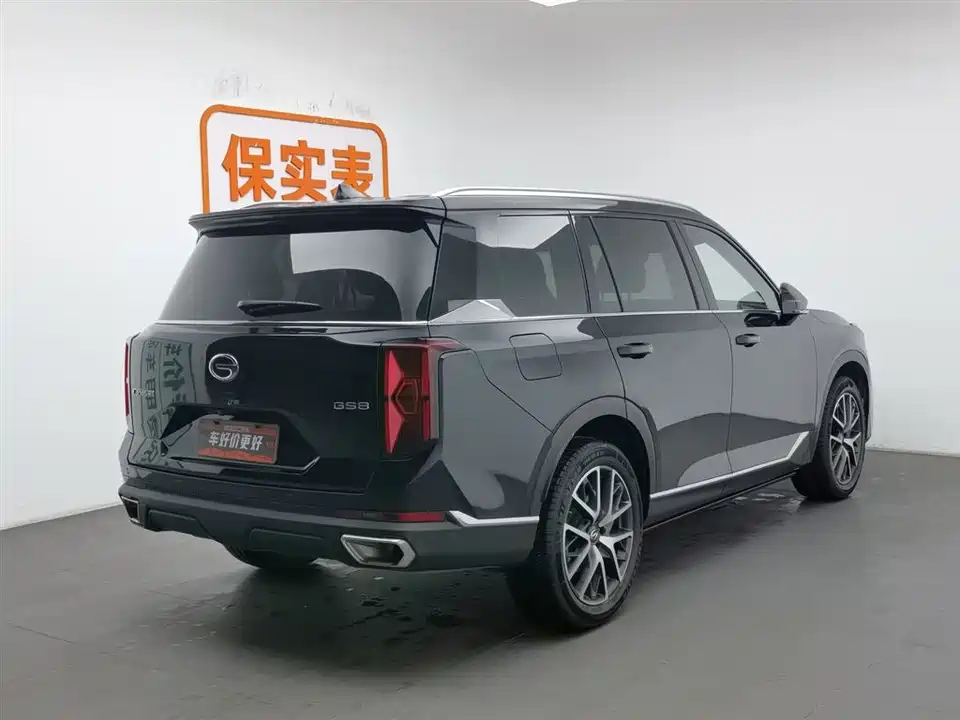 Trumpchi Trumpchi GS8